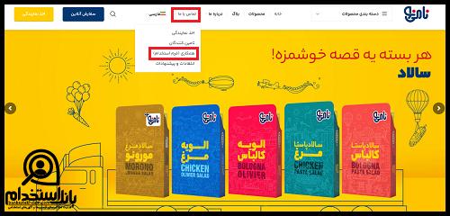 استخدام نامی نو